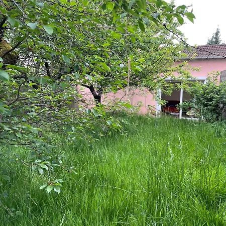 Charmante Maison Avec Jardin Aux Portes De Paris Vitry-sur-Seine